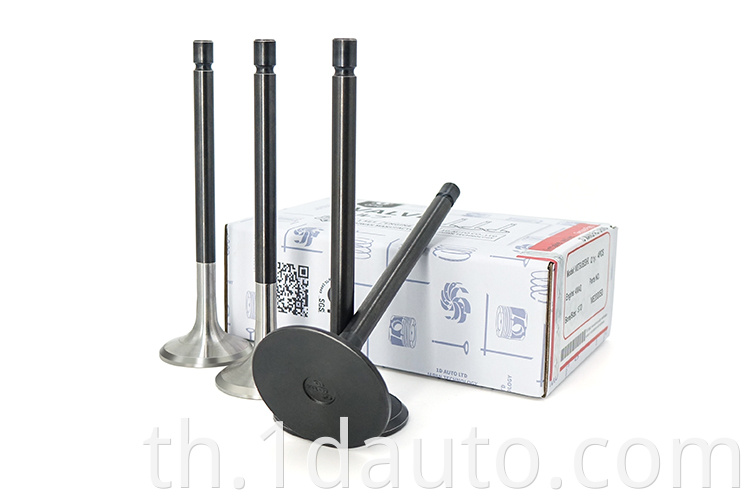 Engine Valves 